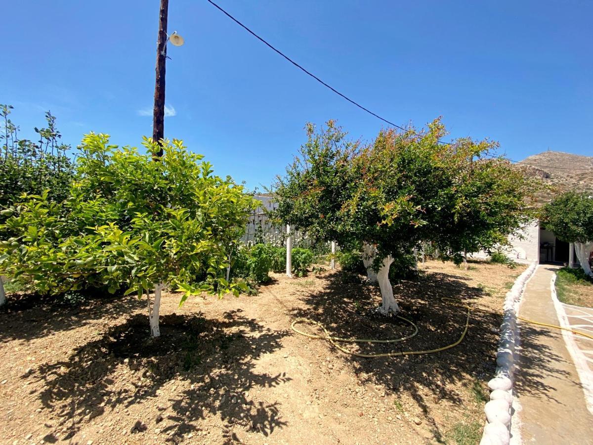 Michail Suites Afiartis Karpathos Ngoại thất bức ảnh