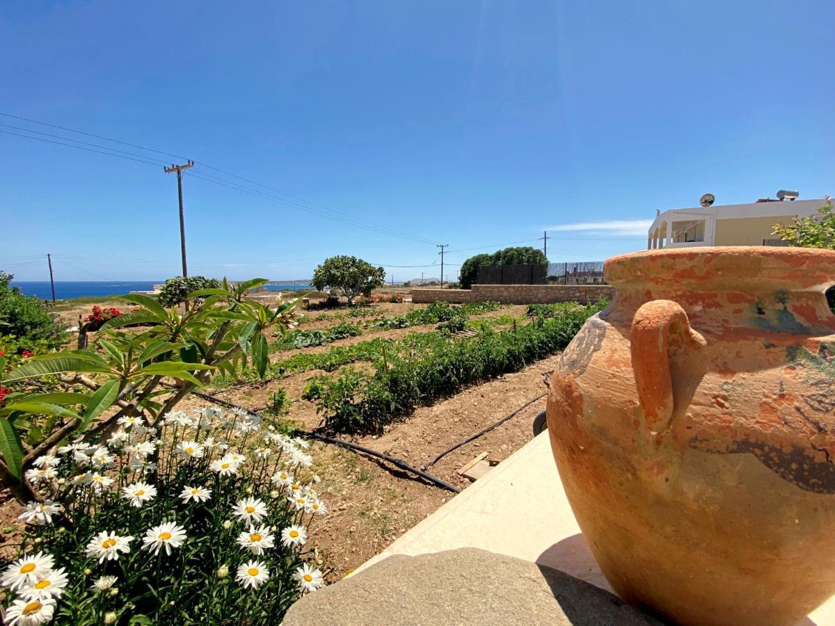 Michail Suites Afiartis Karpathos Ngoại thất bức ảnh